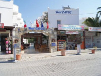 Cavus