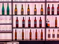 Airport Hotel Basel 3*