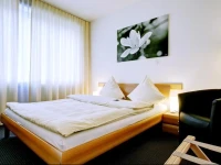 Hotel Balegra 3*
