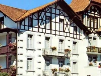 Alpina Hotel Interlaken  2*