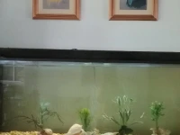 Krabi River Hotel 