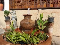 Orchid Residence 2*
