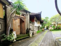Surya Mas Villa 3*