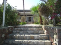 Arava 