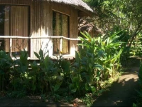 Toris Backpackers Paradise 1*