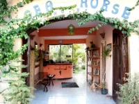 Seahorse Hotel Dahab 3*