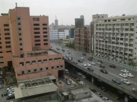 Venus Hostel 
