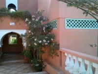 In Club Palmeraie Resorts 