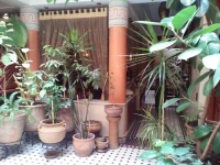 Riad El Wiam 