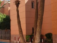 Riad Isabel 