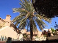 Riad Palmier 