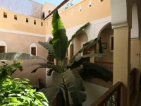 Riad Sidi Mimoune 