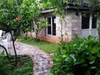 Hippo Hostel 
