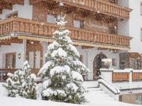 Hotel Pension Sonnleiten 3*