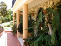 Paradise Birds Eye View 5*