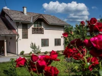 Tena Guest House 3*
