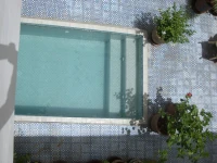 Riad Ifoulki 