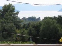 Kola Guest House 2*