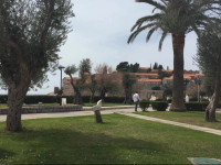 Vila Andja