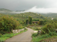 Skadar Lake Holiday Home