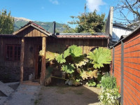 Cabana Rustica