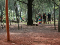 Woodland Gardens
