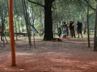 Woodland Gardens 