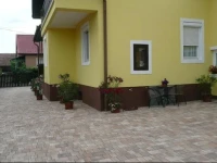 Zsuzsi Vendeghaz 