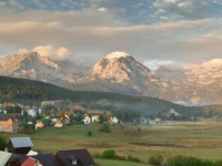 Andjelich 