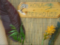 Kona Treehouse
