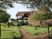 Mapito Tented Camp 3*