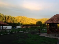 Villa Donkey Telavi 
