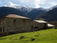 Mazeri Guest House 