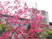 Ful Won Hotel 4*