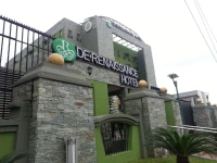 De Renaissance Hotel 4*