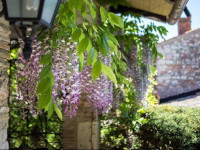 Villa Le Casaline
