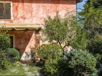 La Casa fra gli Ulivi 