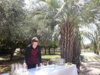 Hotel Cambiocavallo