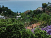 Domus Antonina