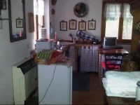 Il gallo dargento 