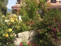 La Rosa di Paestum 