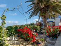 Clelia Vista Mare Apartment