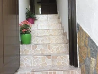 Tomor Shehu Guest House 