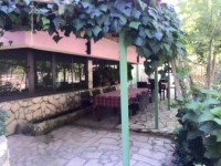 The River Hotel 