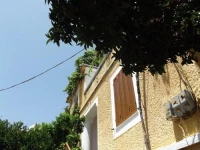 Dolphin Hostel 