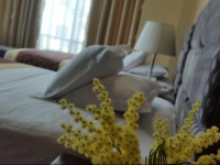 Kompleksi Arifi Hotel
