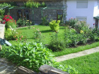 Vanda Guest House