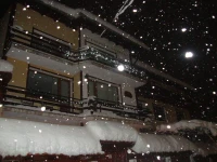 Guest House Planinski Zdravets 3*