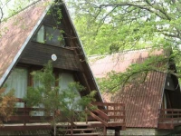 Paradise Bungalows 