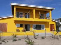 The Mellow House 